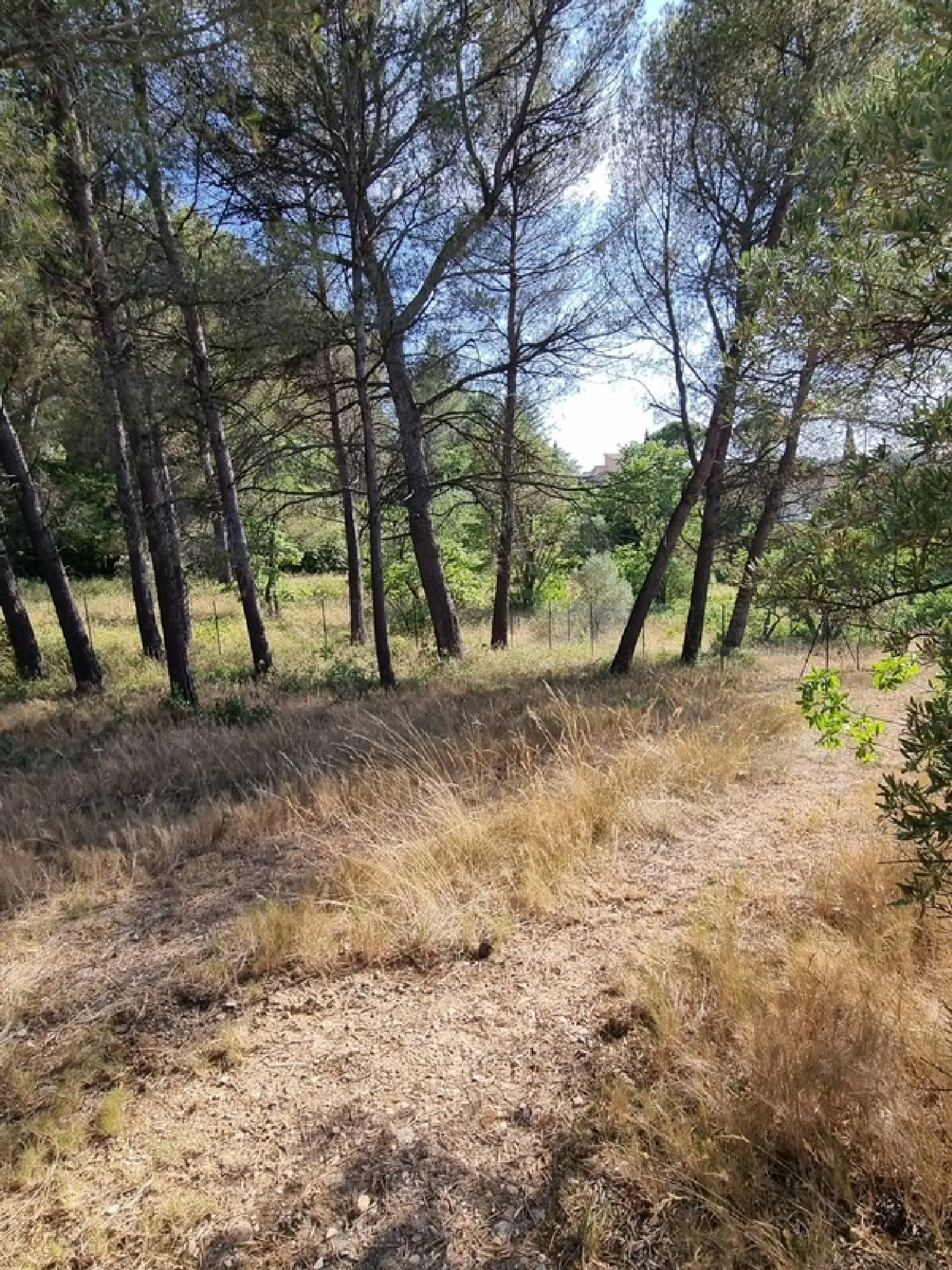  te koop terrein Aix-en-Provence Bouches-du-Rhône 6