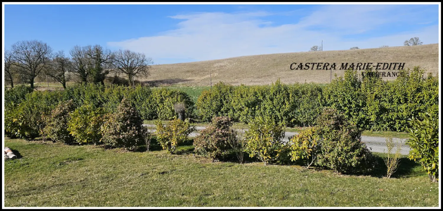  à vendre terrain Auch Gers 2