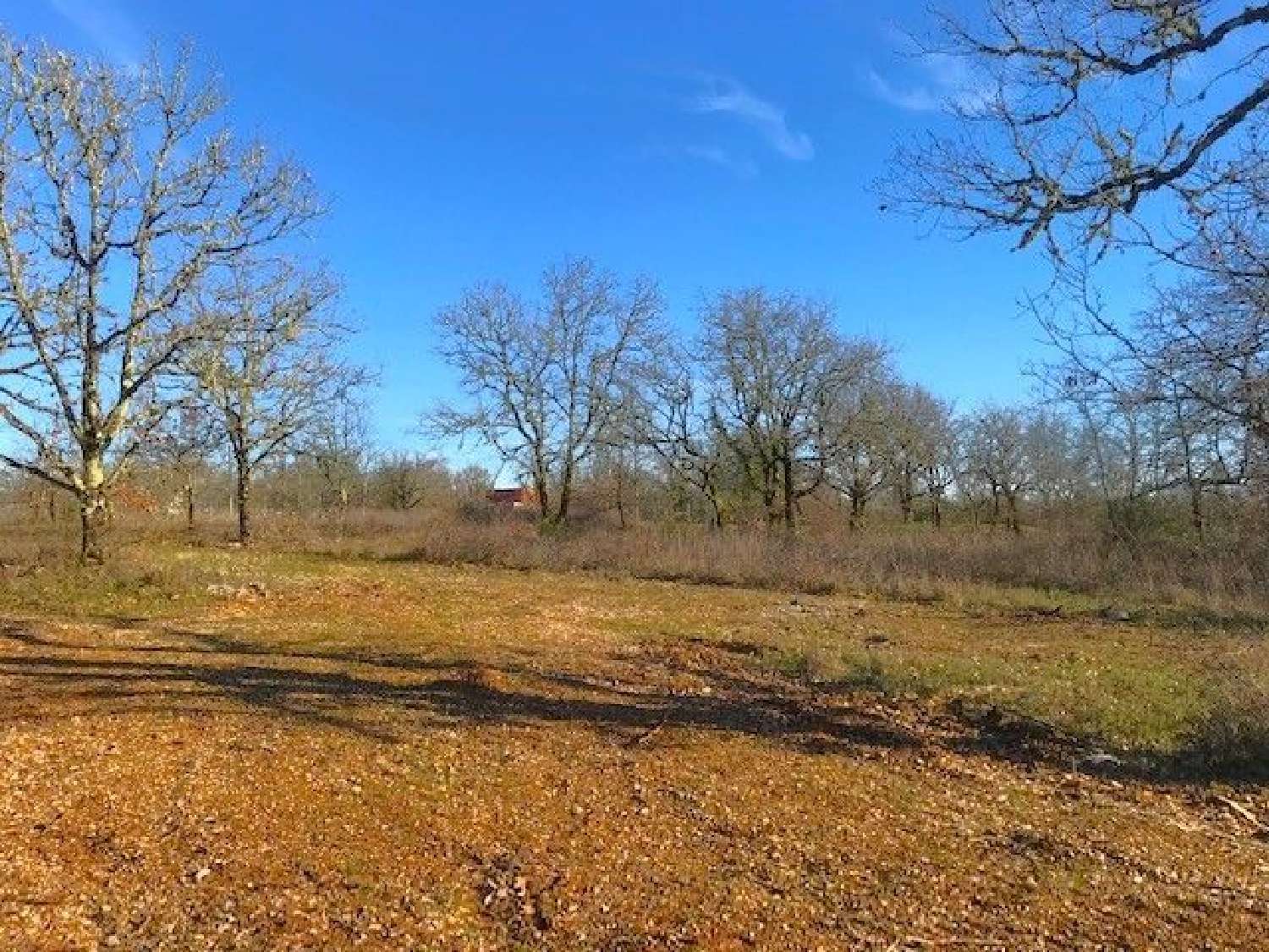  for sale terrain Aujols Lot 1