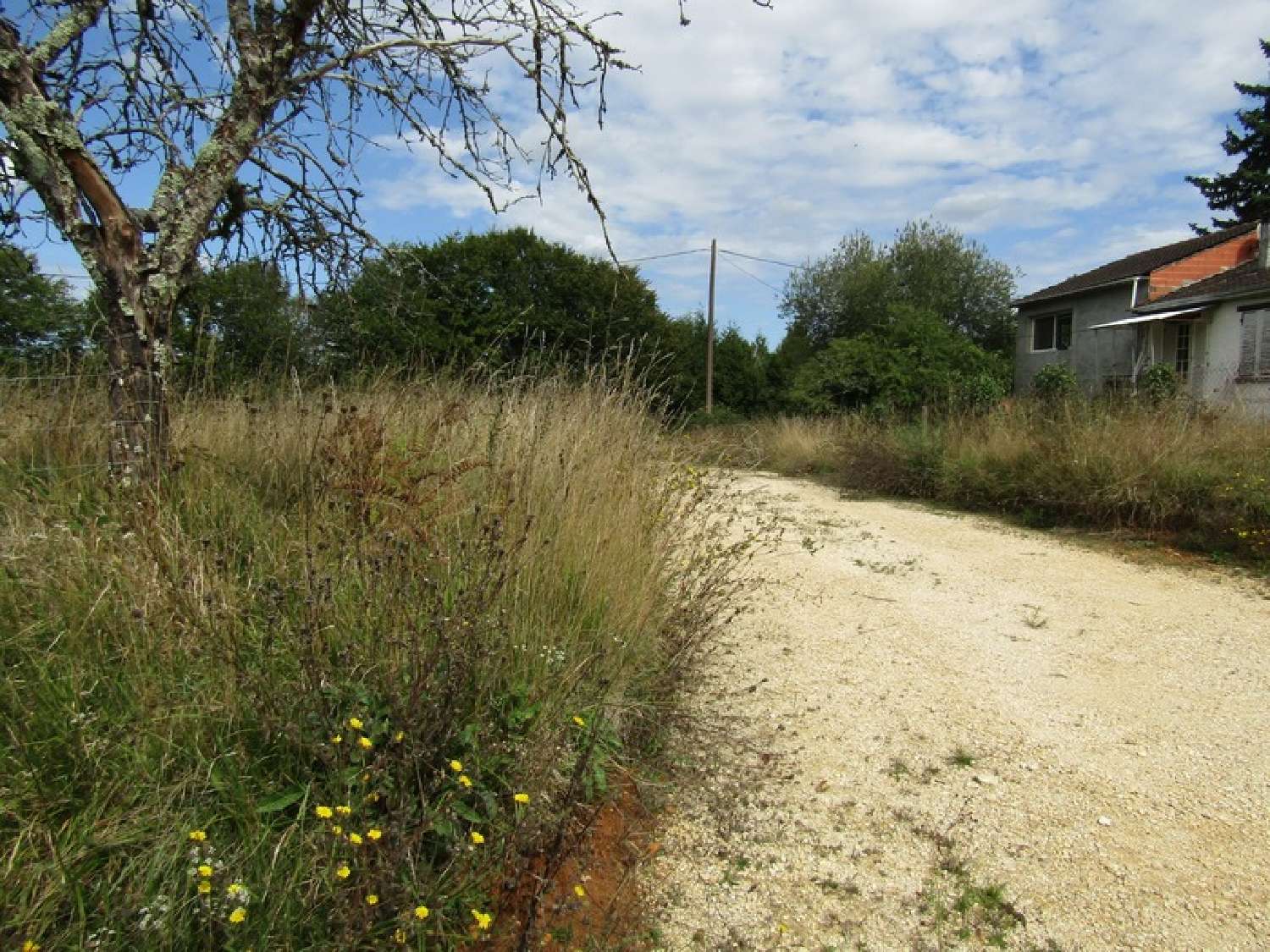  te koop terrein Badefols-sur-Dordogne Dordogne 3
