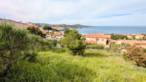 Banyuls-sur-Mer Pyrénées-Orientales terrain foto 7127783