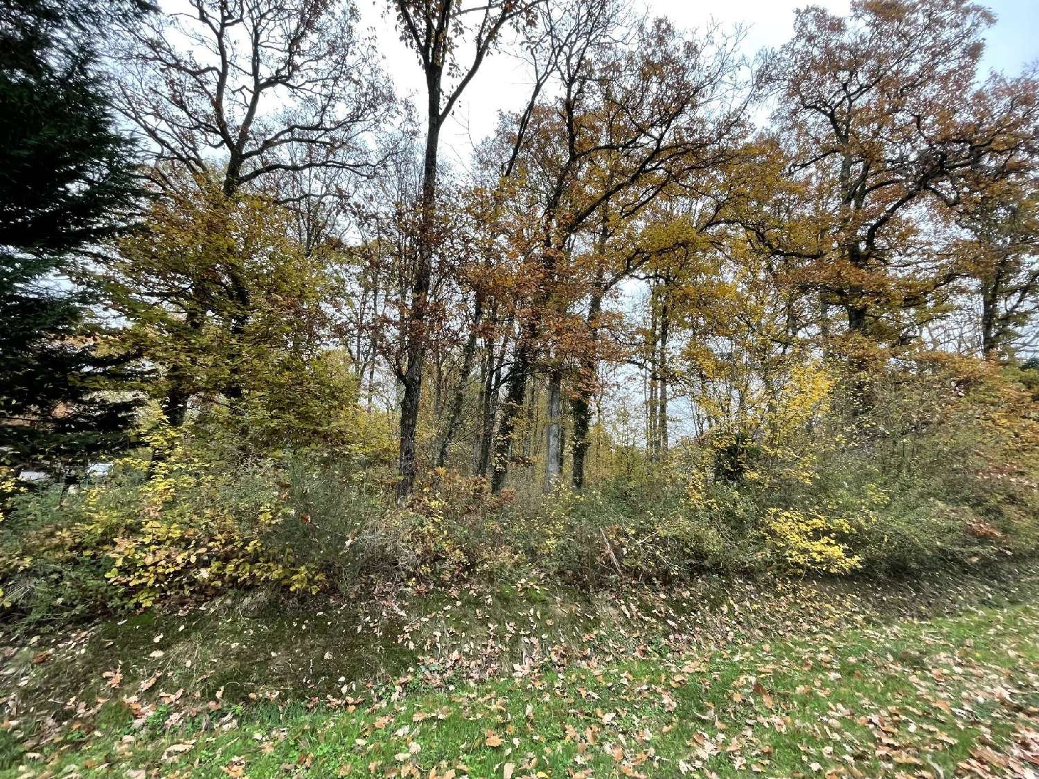  te koop terrein Bazoches-sur-le-Betz Loiret 1