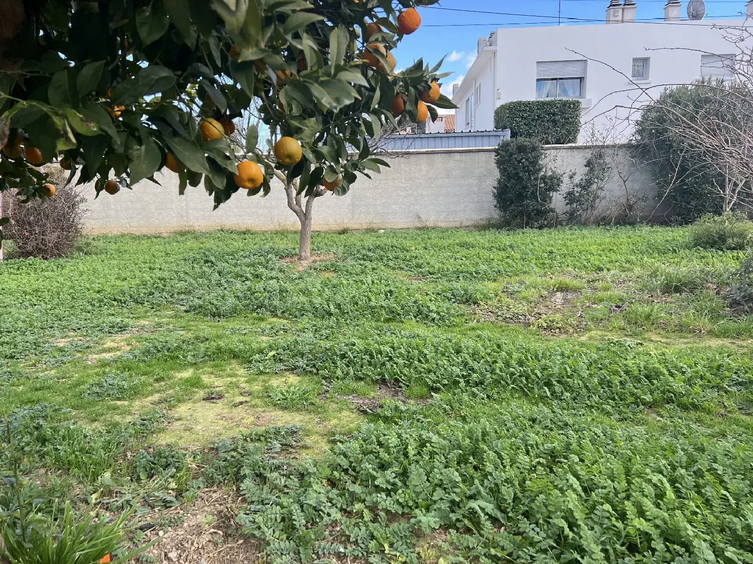  à vendre terrain Béziers Hérault 1