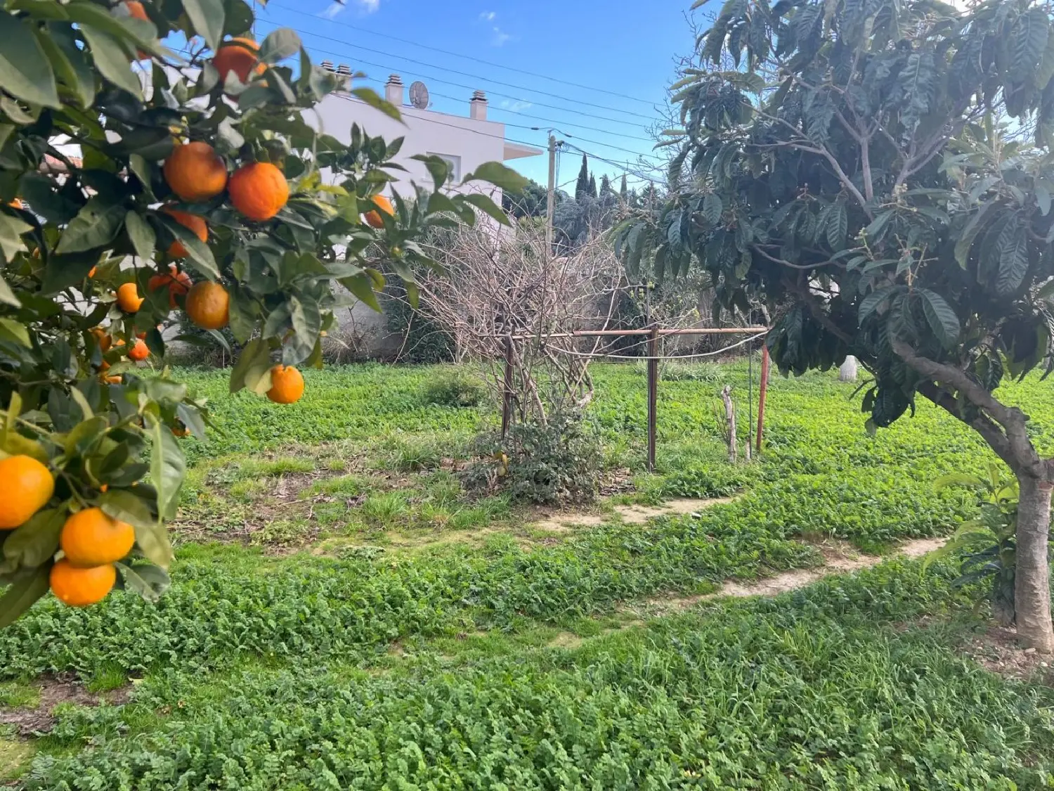  à vendre terrain Béziers Hérault 2