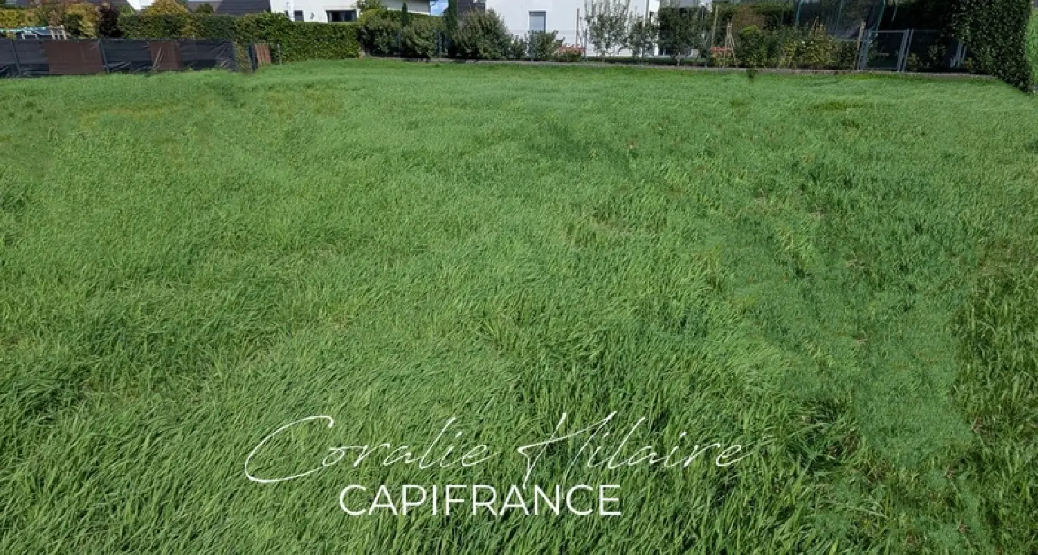  for sale terrain Blotzheim Haut-Rhin 1