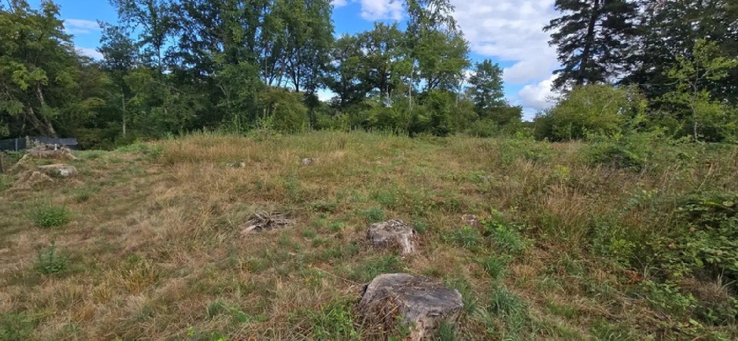  à vendre terrain Boisseuil Haute-Vienne 2