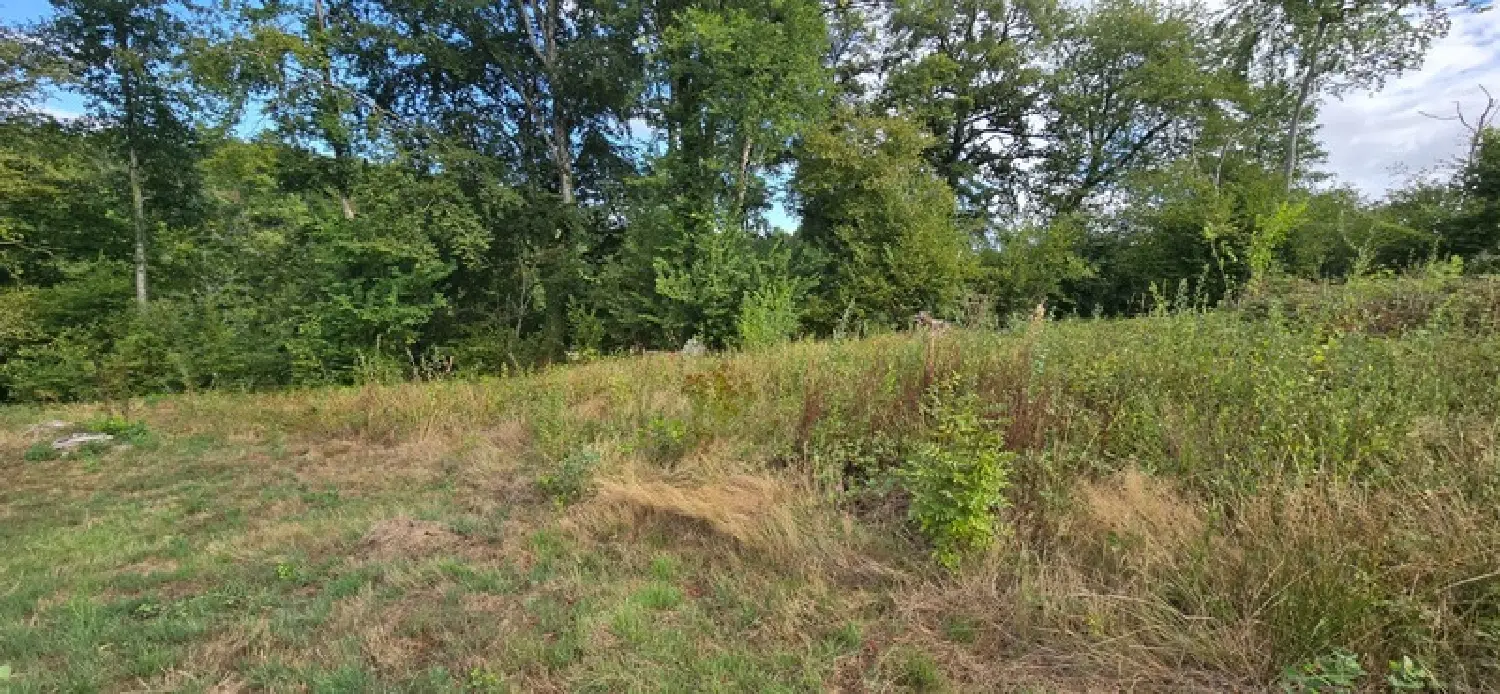  à vendre terrain Boisseuil Haute-Vienne 3