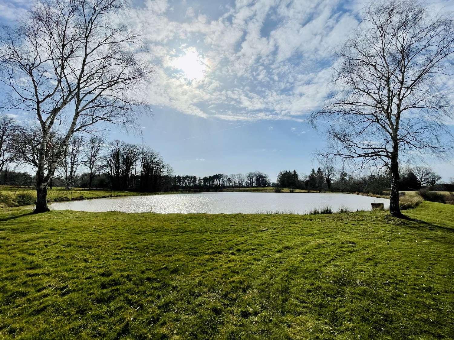  for sale terrain Brillac Charente 1