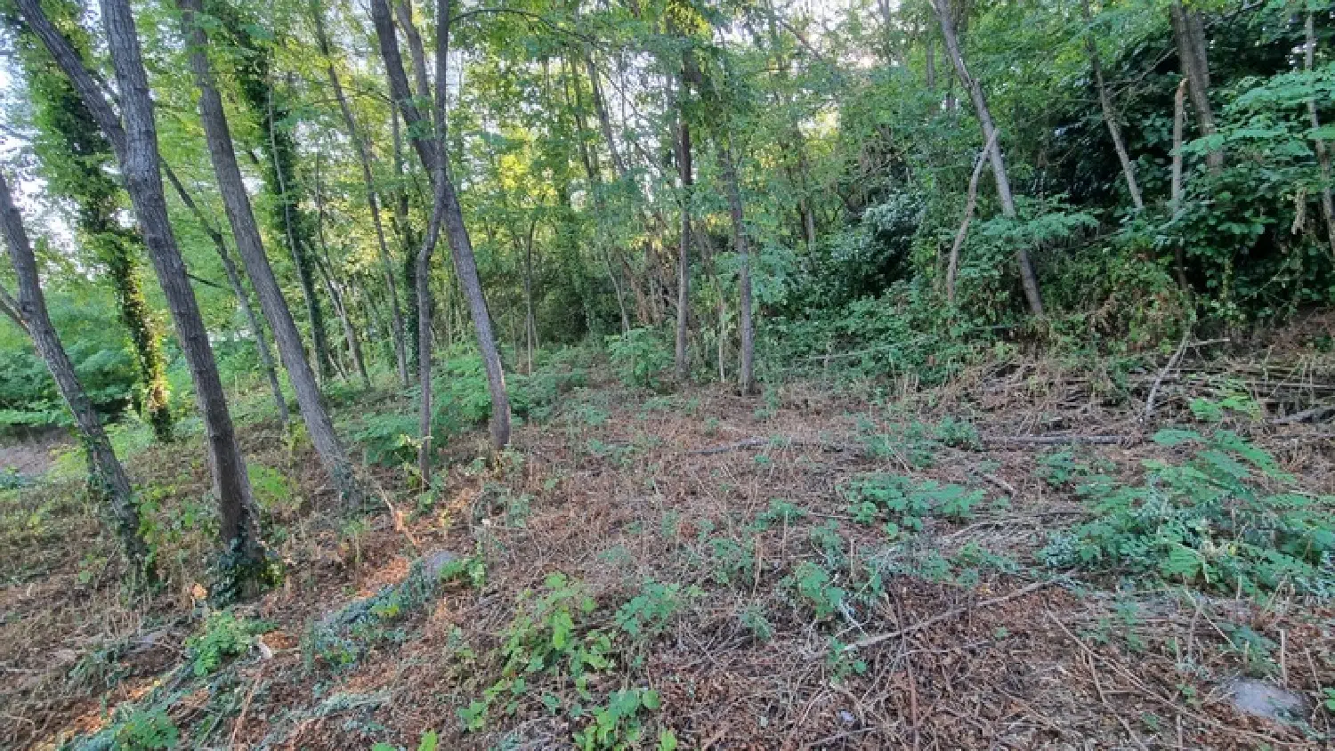  à vendre terrain Brive-la-Gaillarde Corrèze 6