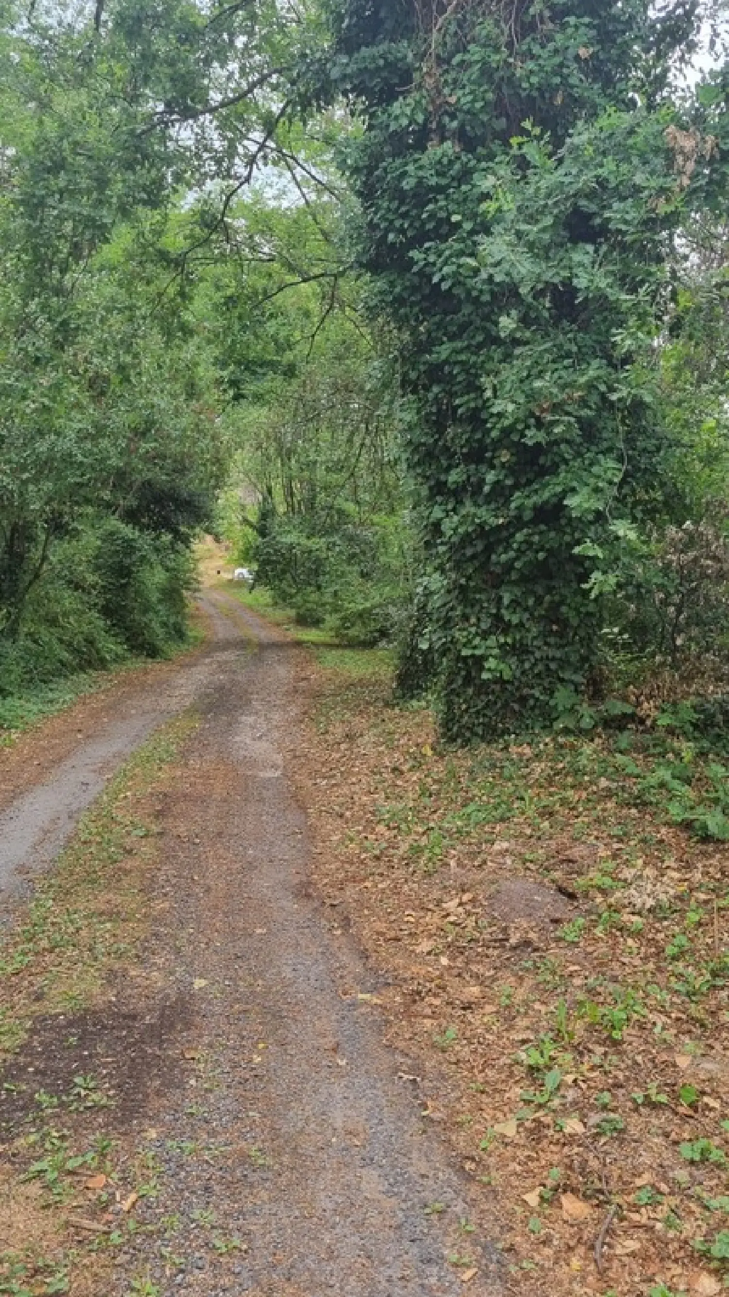  à vendre terrain Brive-la-Gaillarde Corrèze 7