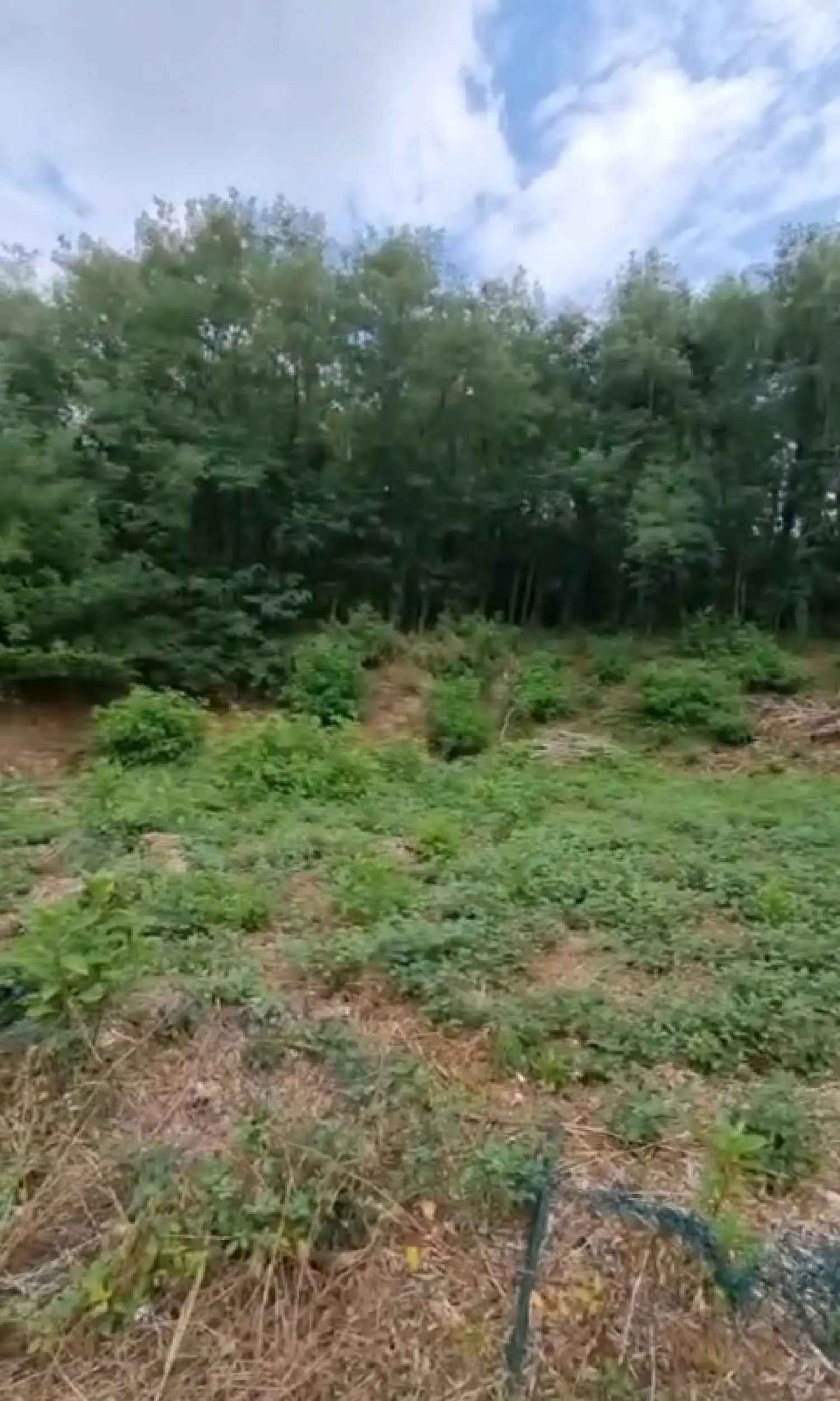  à vendre terrain Brive-la-Gaillarde Corrèze 8