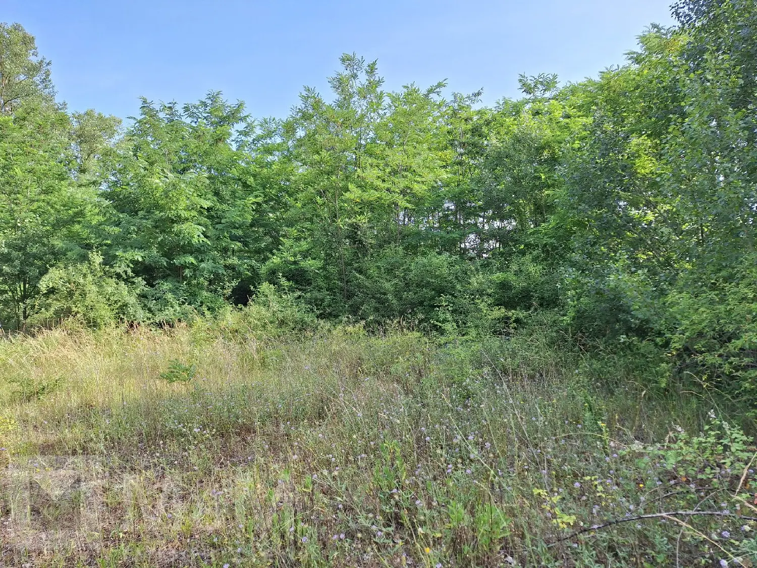  te koop terrein Campagne-sur-Aude Aude 3