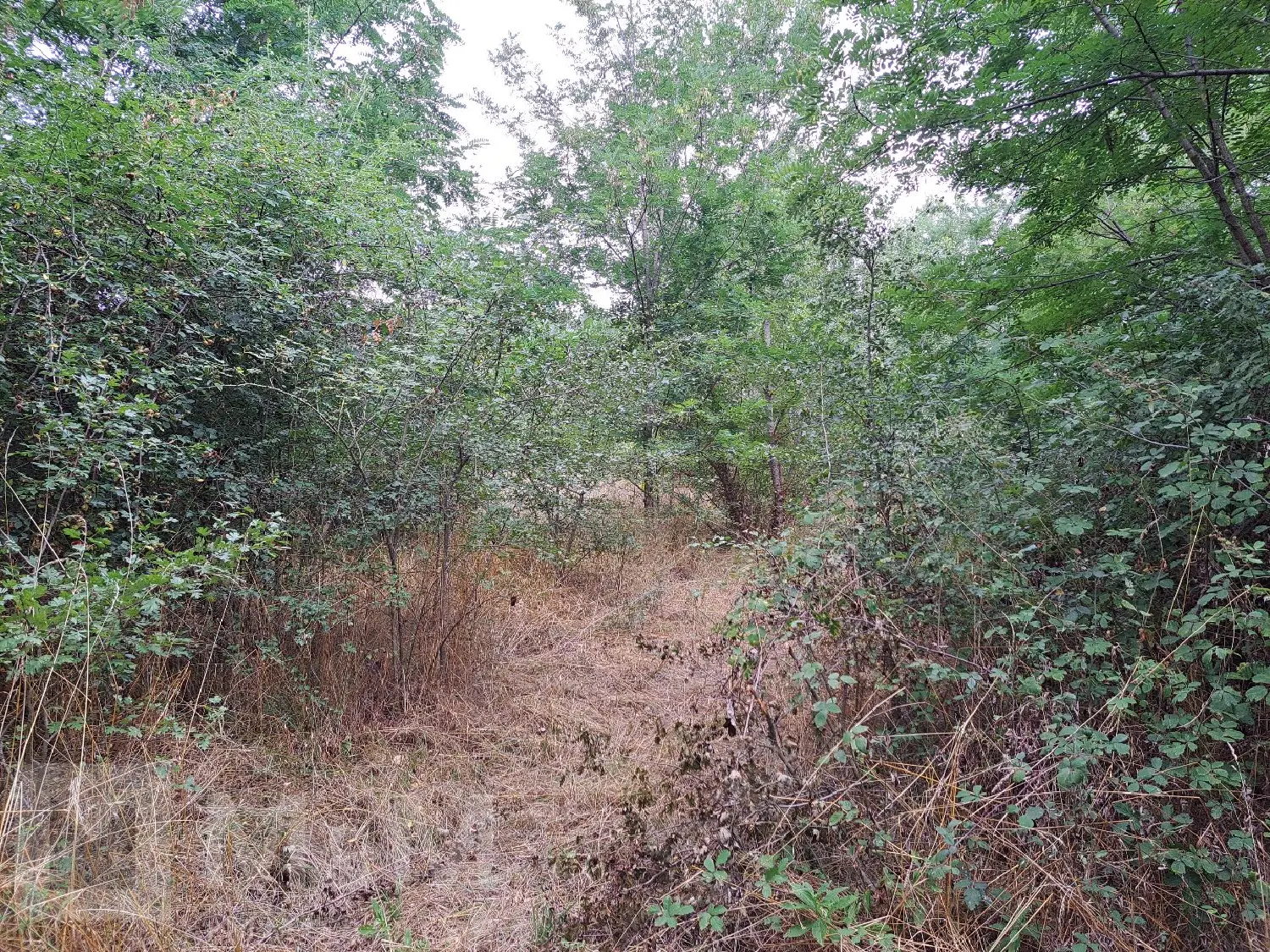  te koop terrein Campagne-sur-Aude Aude 4
