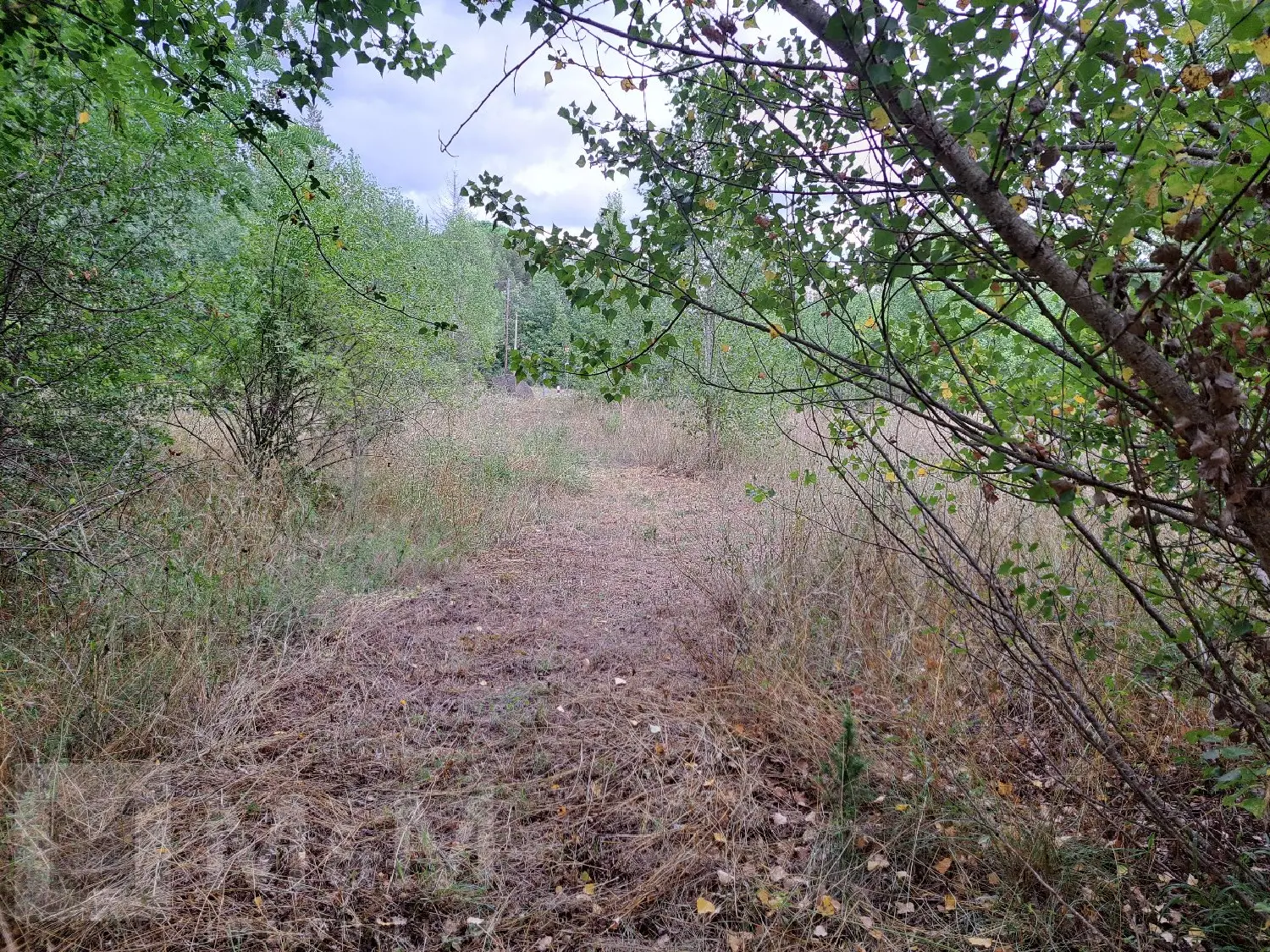  te koop terrein Campagne-sur-Aude Aude 5