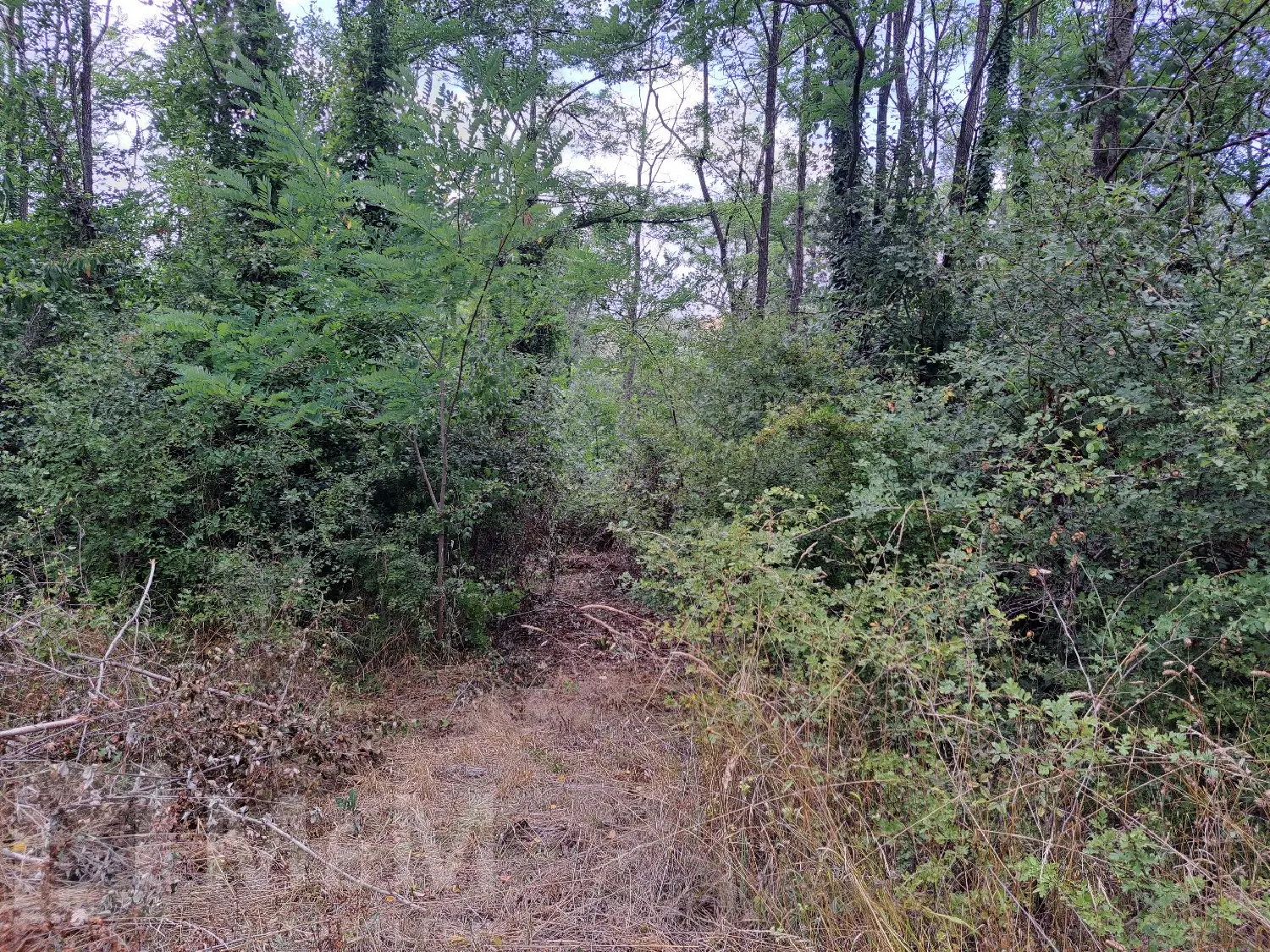  te koop terrein Campagne-sur-Aude Aude 8