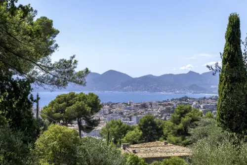 Cannes Alpes-Maritimes Grundstück Bild 7136259