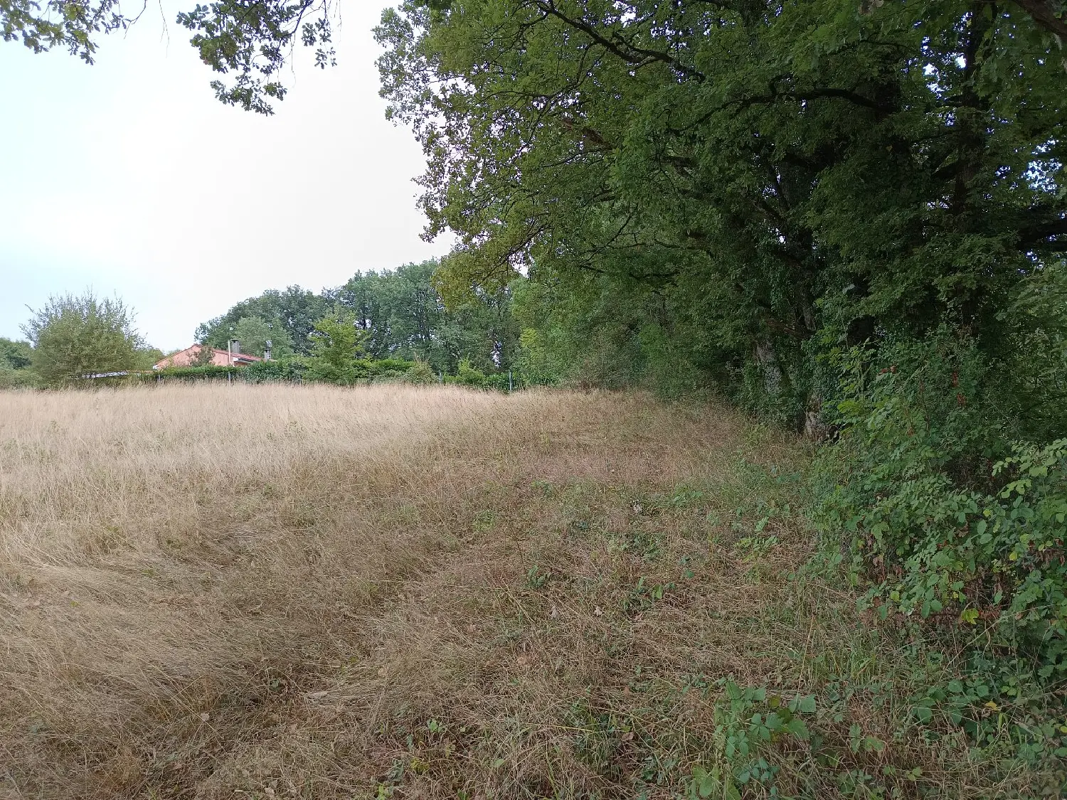  kaufen Grundstück Carmaux Tarn 7