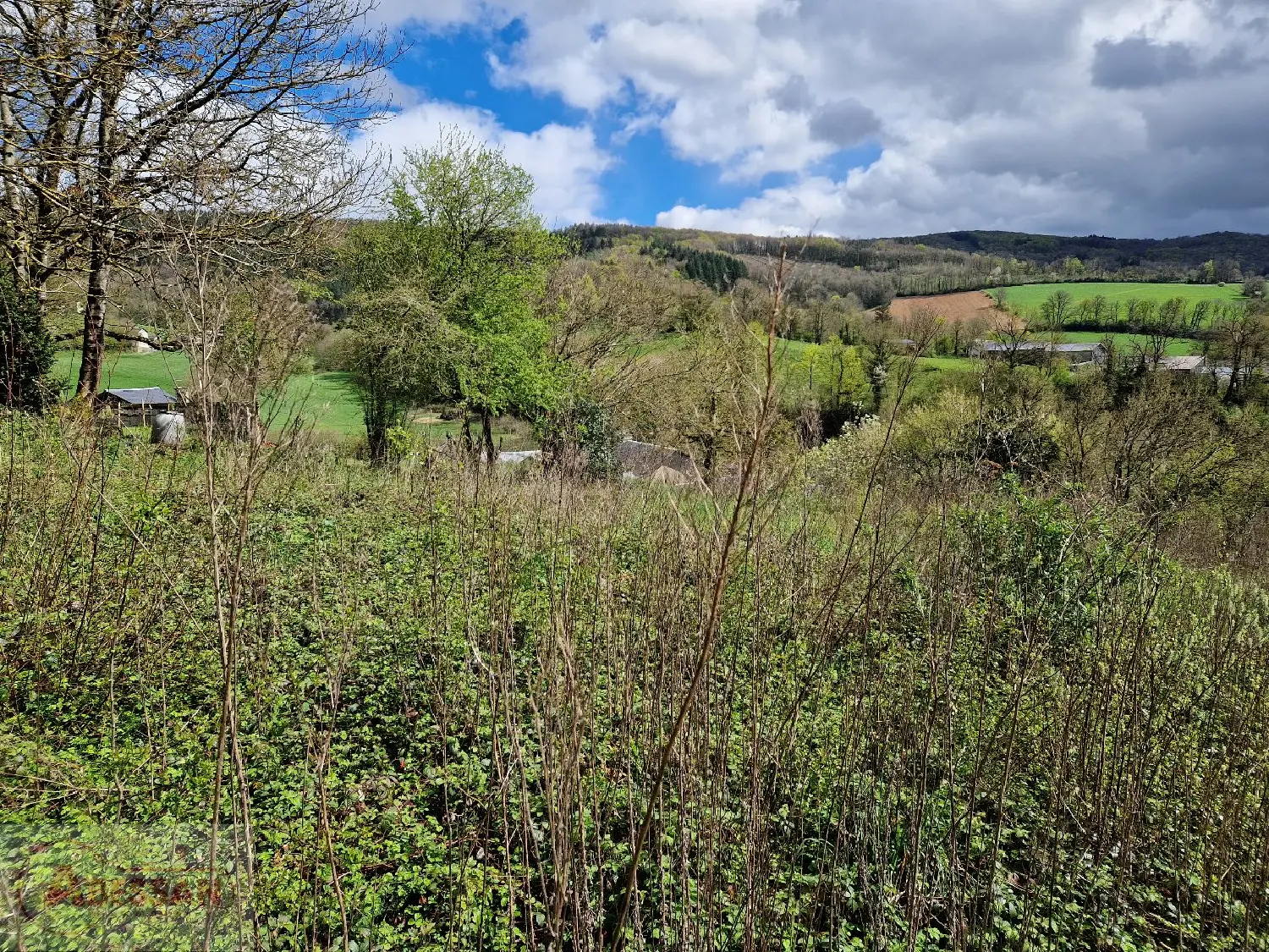  kaufen Grundstück Castelnau-de-Brassac Tarn 2
