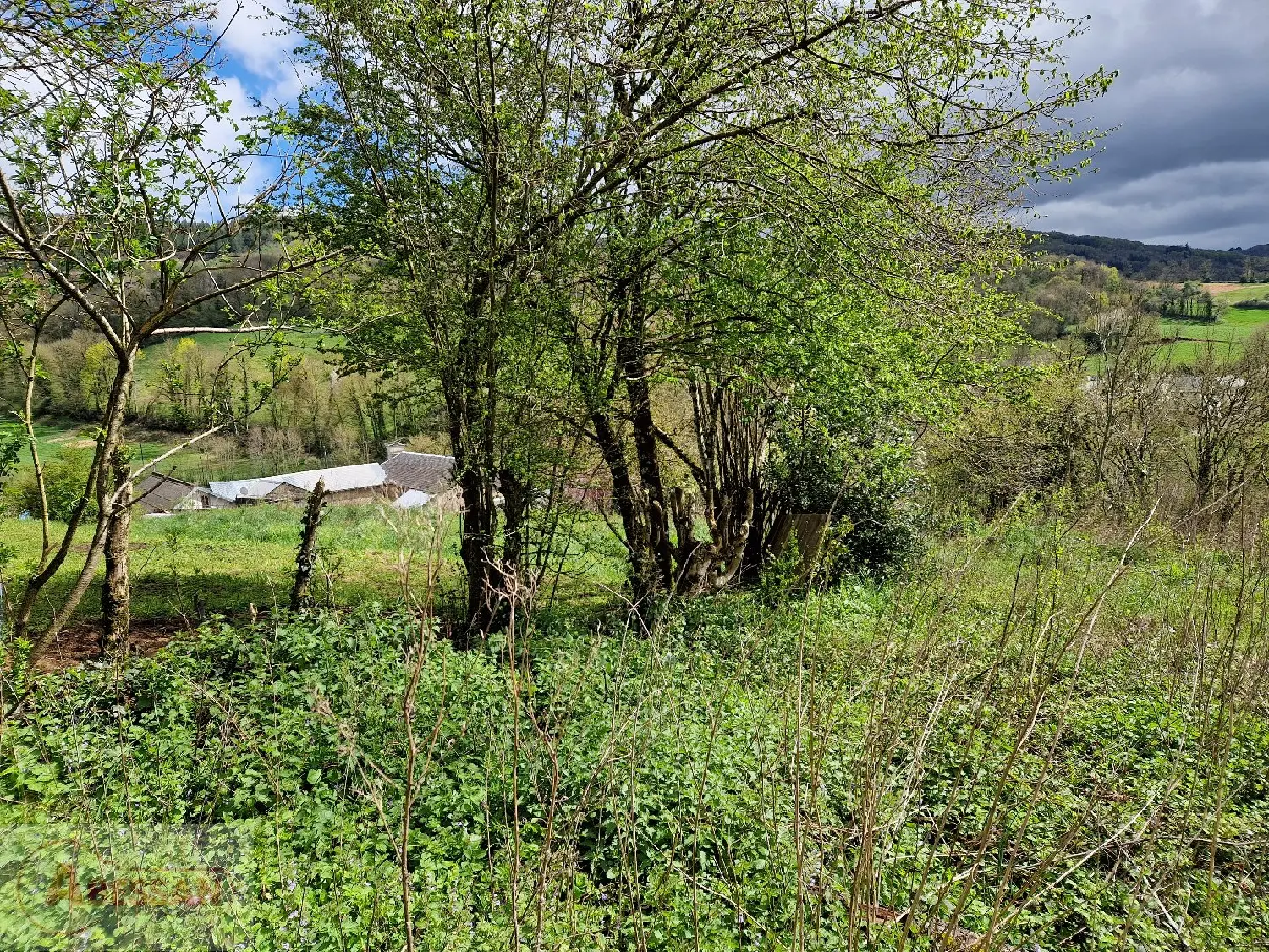  kaufen Grundstück Castelnau-de-Brassac Tarn 5