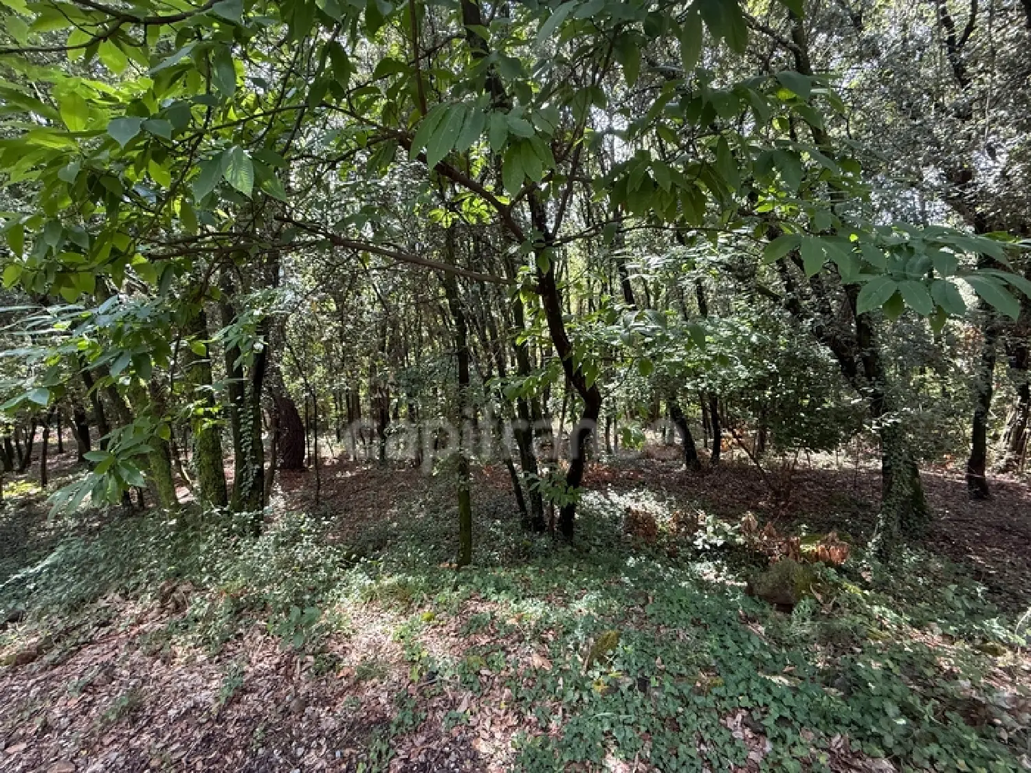  te koop terrein Cendras Gard 1