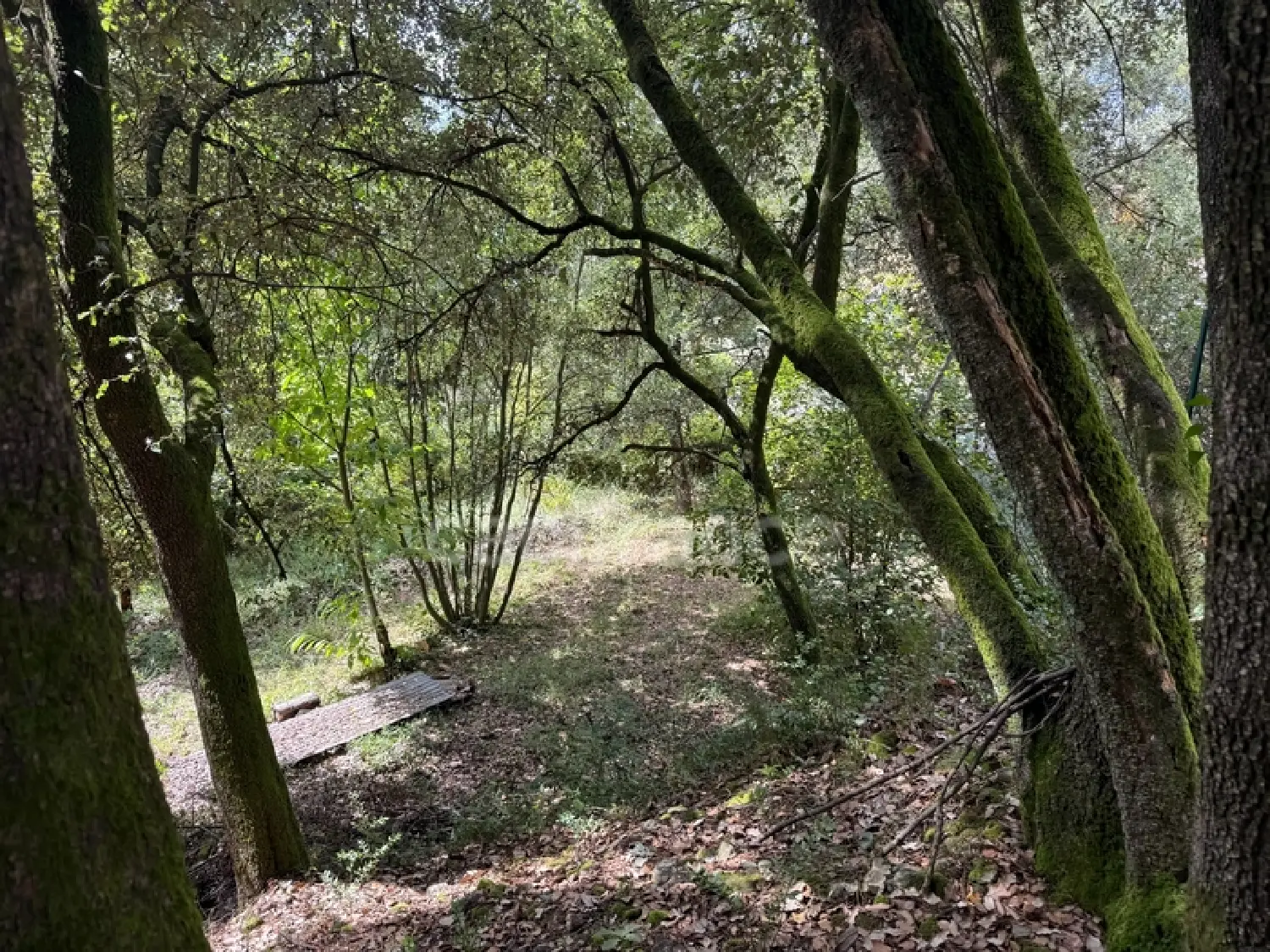  te koop terrein Cendras Gard 2