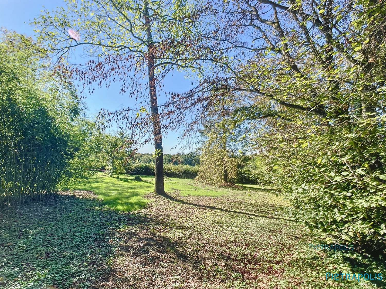  en venta terreno Chanoz-Châtenay Ain 5