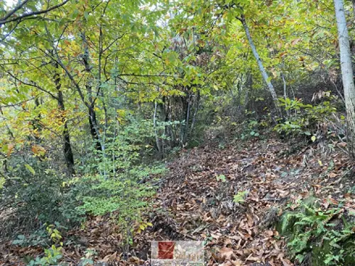 Colognac Gard terreno foto 7132320