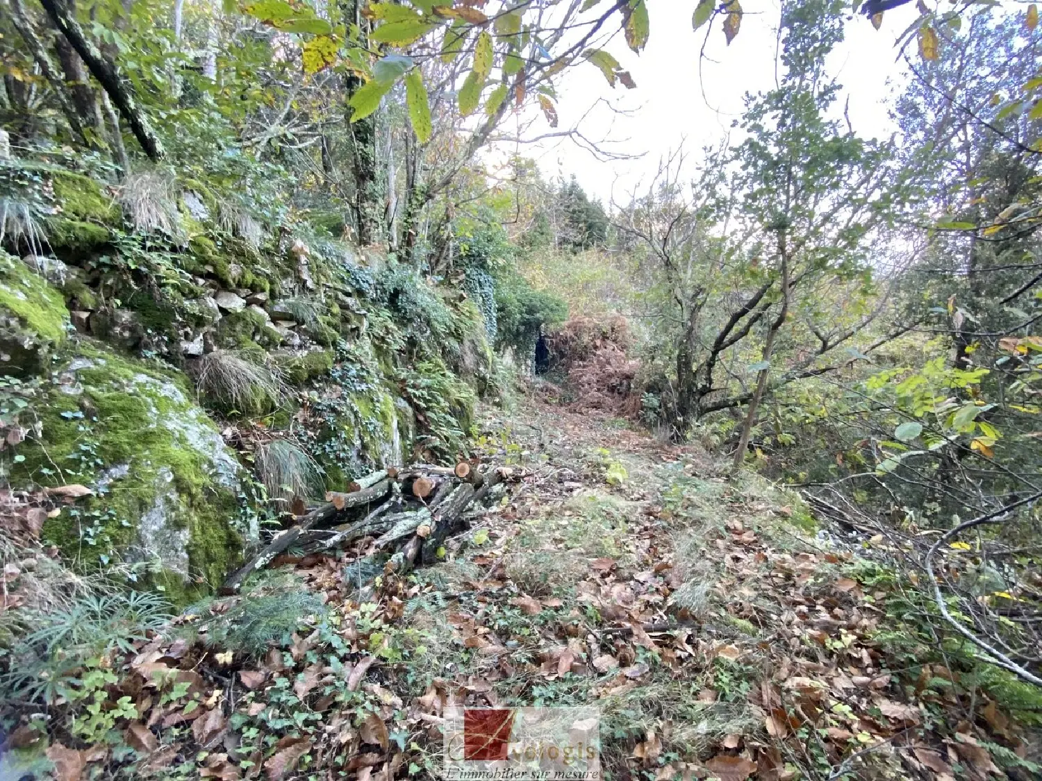  en venta terreno Colognac Gard 3