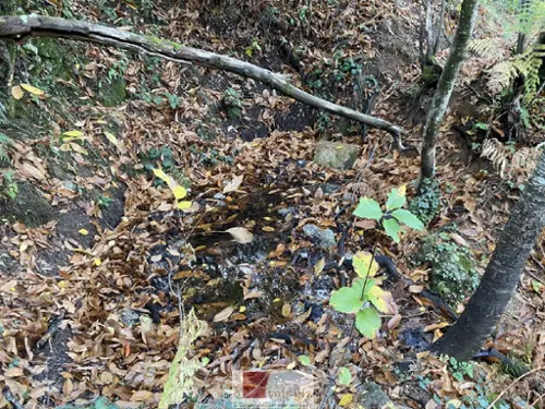  te koop terrein Colognac Gard 5