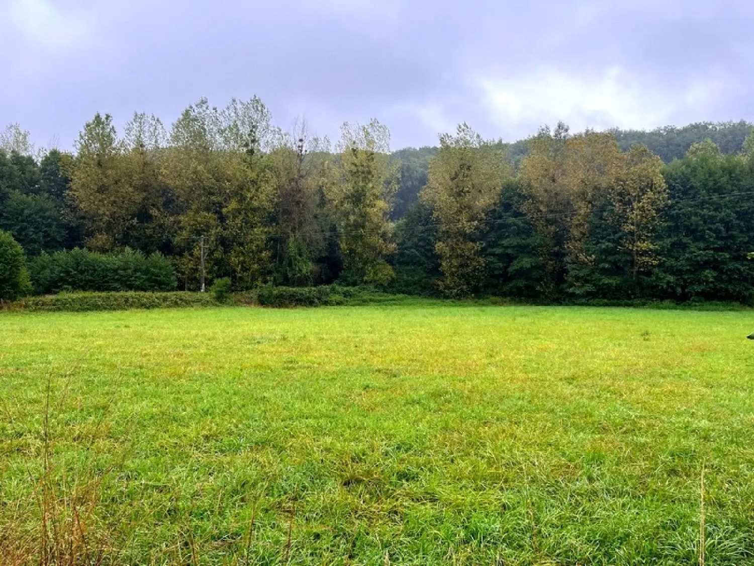  for sale terrain Courdemanche Sarthe 1