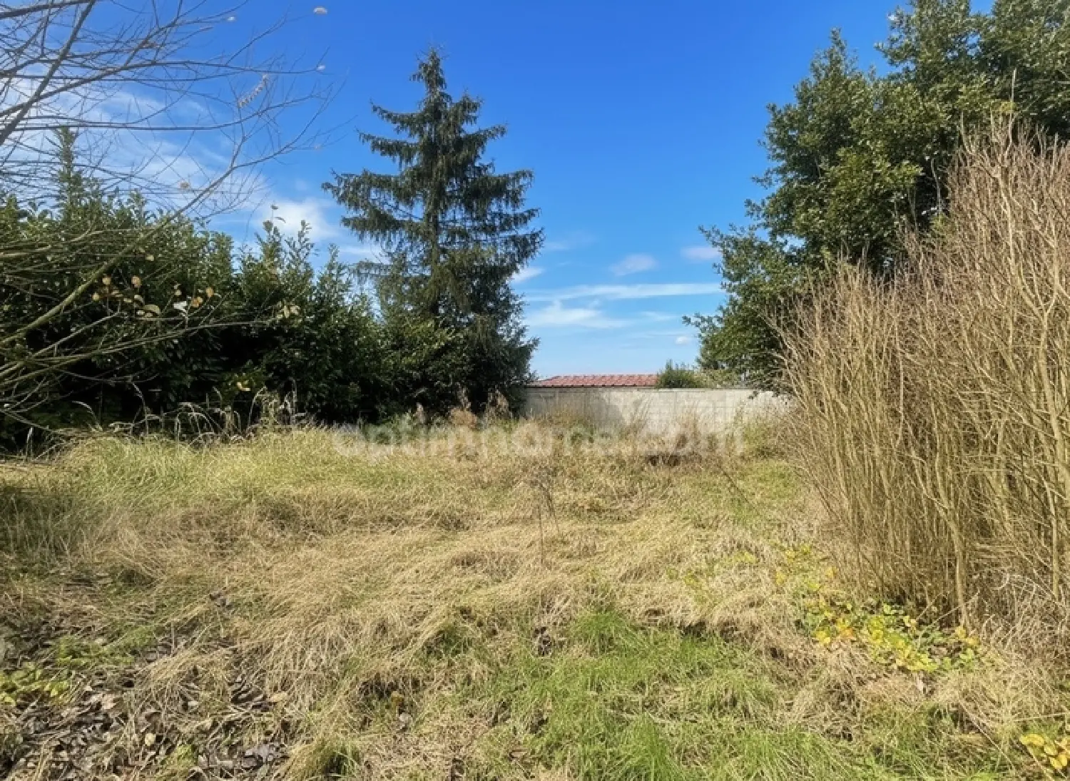  te koop terrein Courpalay Seine-et-Marne 1