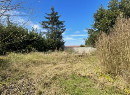 Courpalay Seine-et-Marne terrein foto 7135661