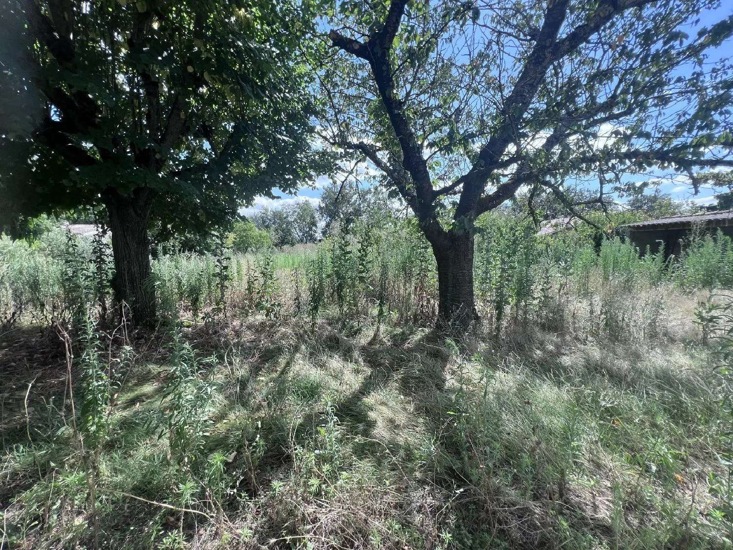  te koop terrein Cugnaux Haute-Garonne 1