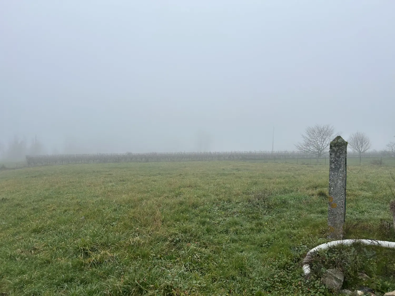  te koop terrein Dieulivol Gironde 2