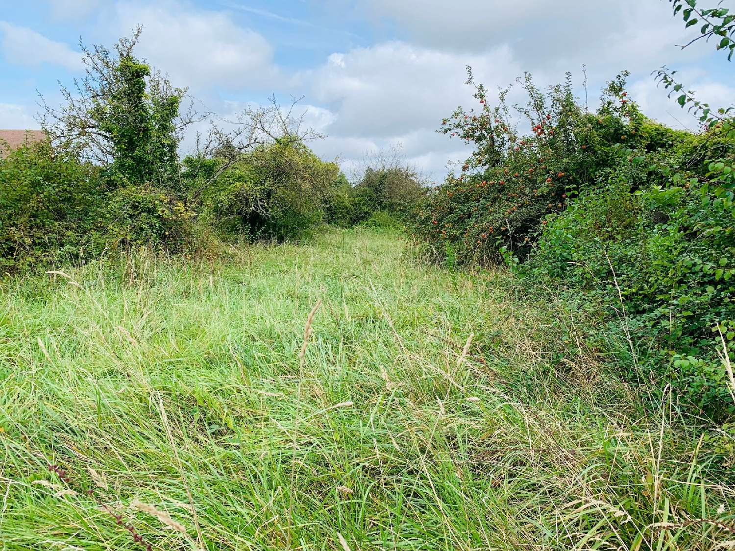  te koop terrein Dollot Yonne 1