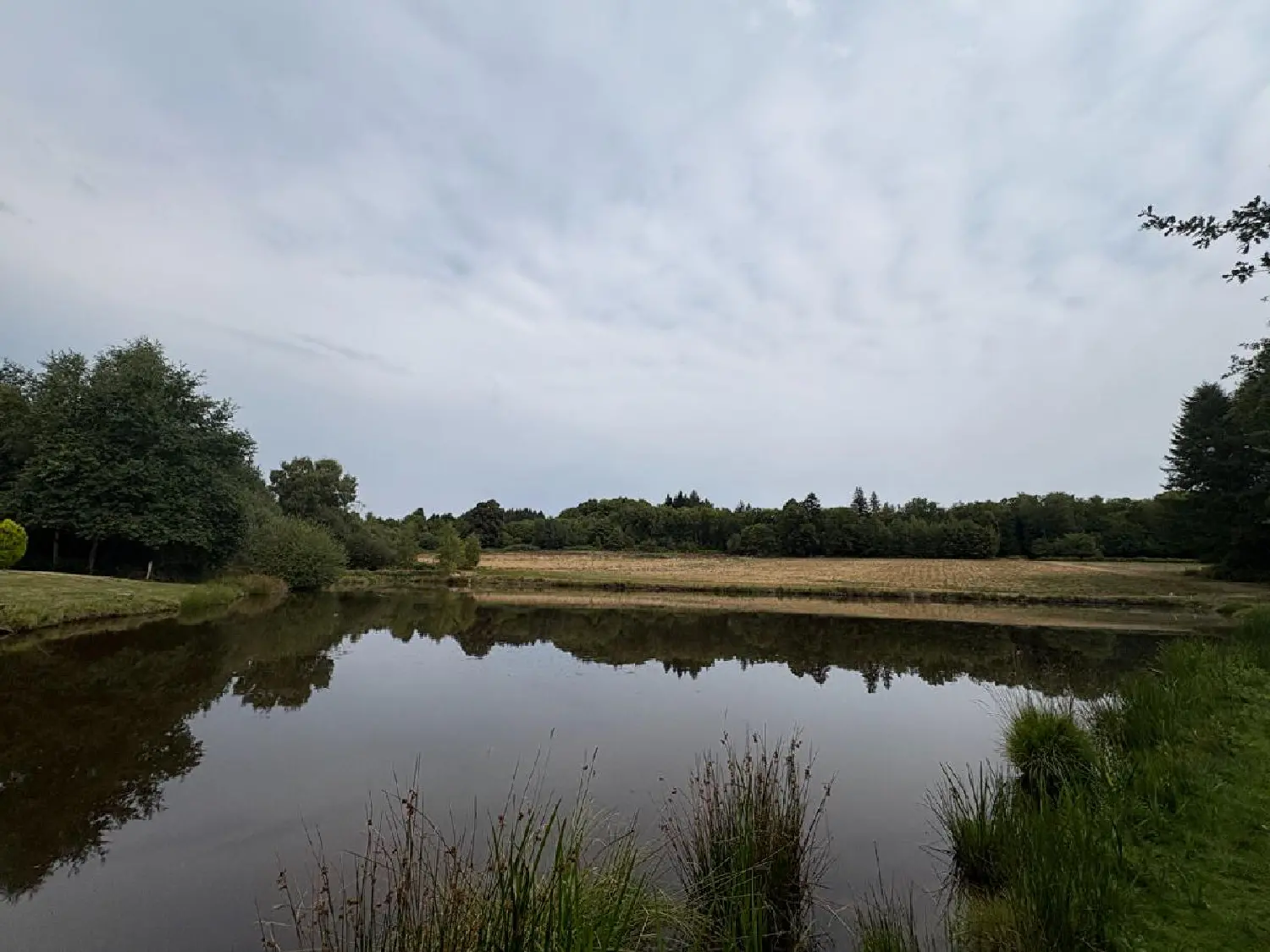  te koop terrein Dournazac Haute-Vienne 2
