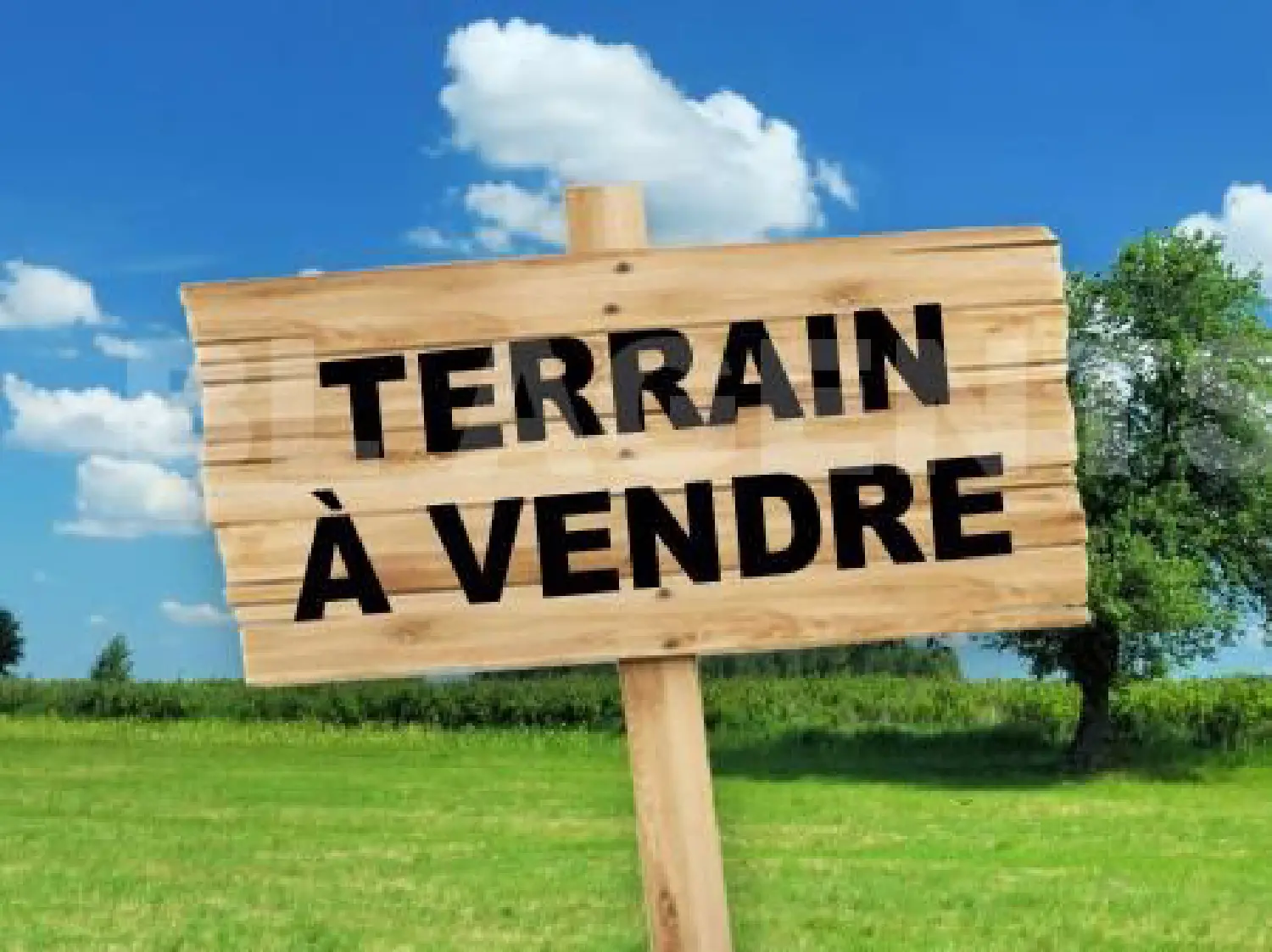 te koop terrein Esbly Seine-et-Marne 1