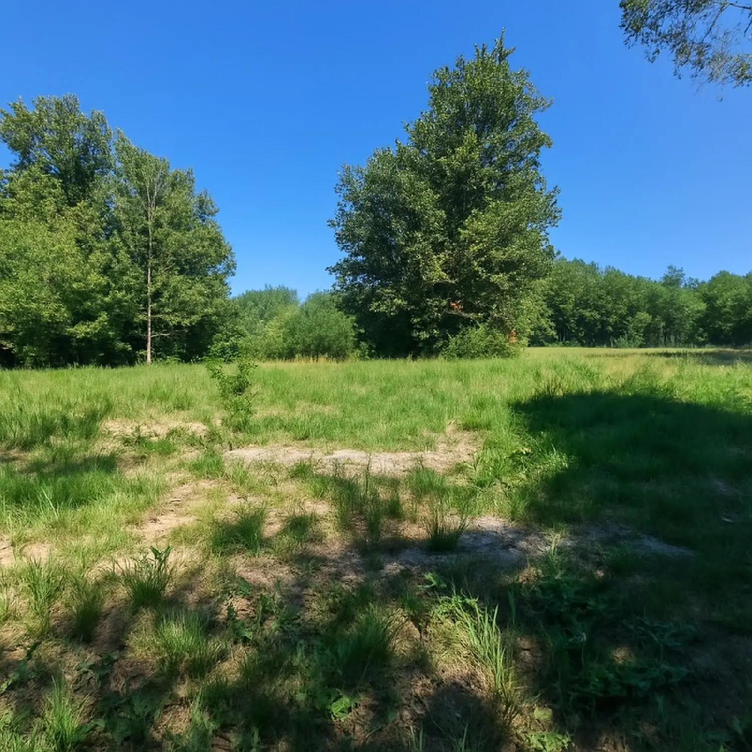  à vendre terrain Frontenac Gironde 1