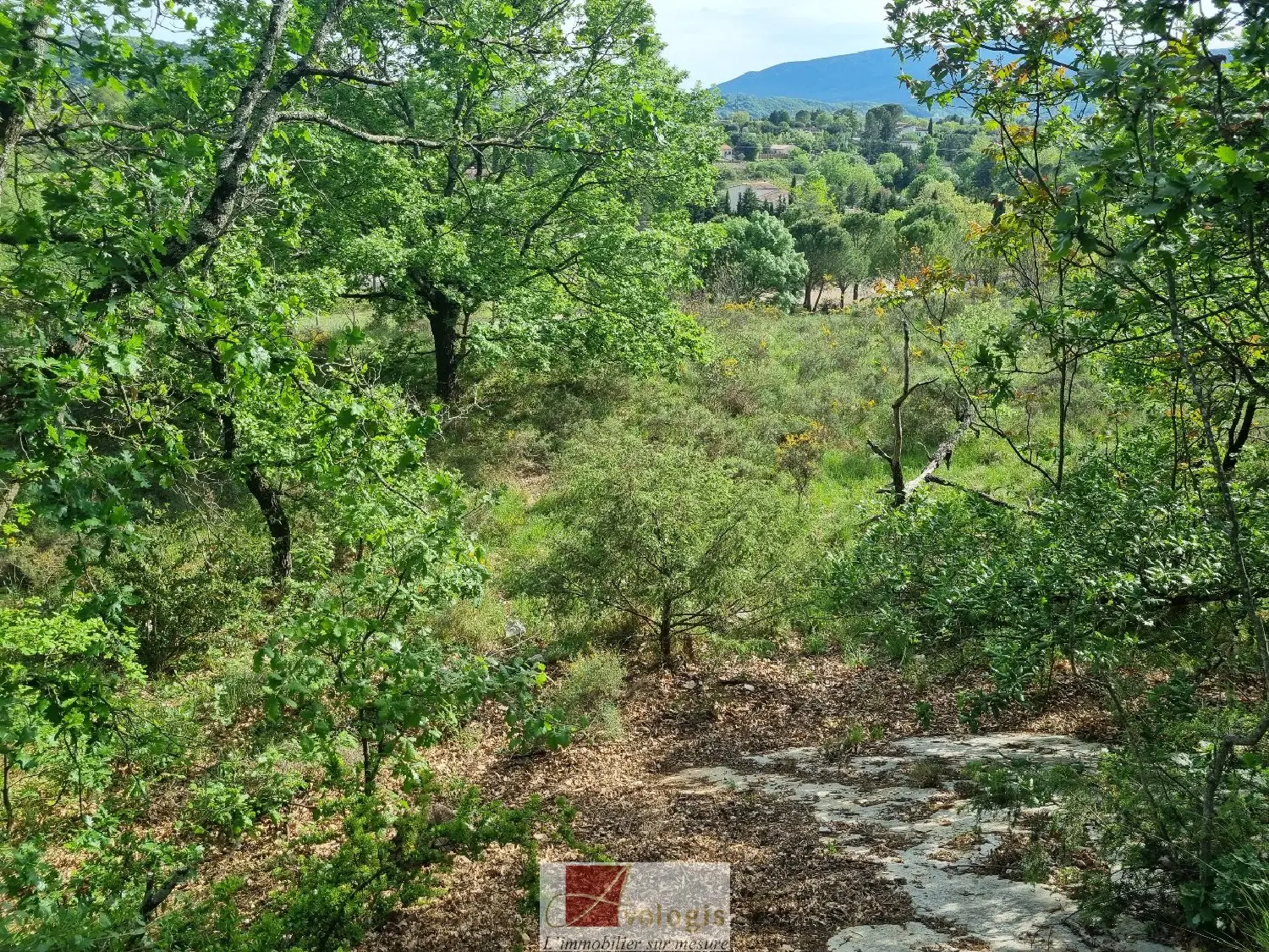  en venta terreno Ganges Hérault 4