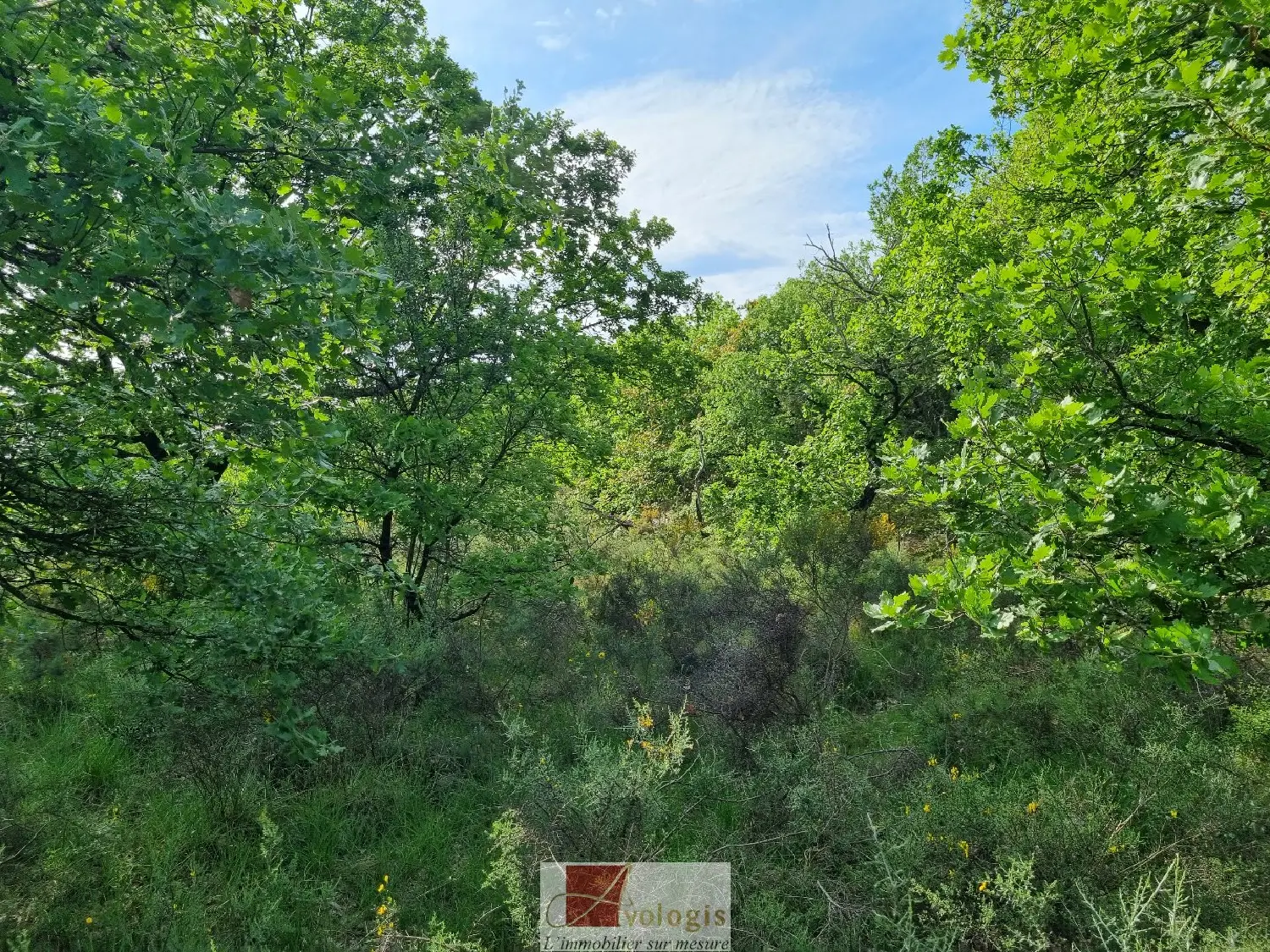  en venta terreno Ganges Hérault 5