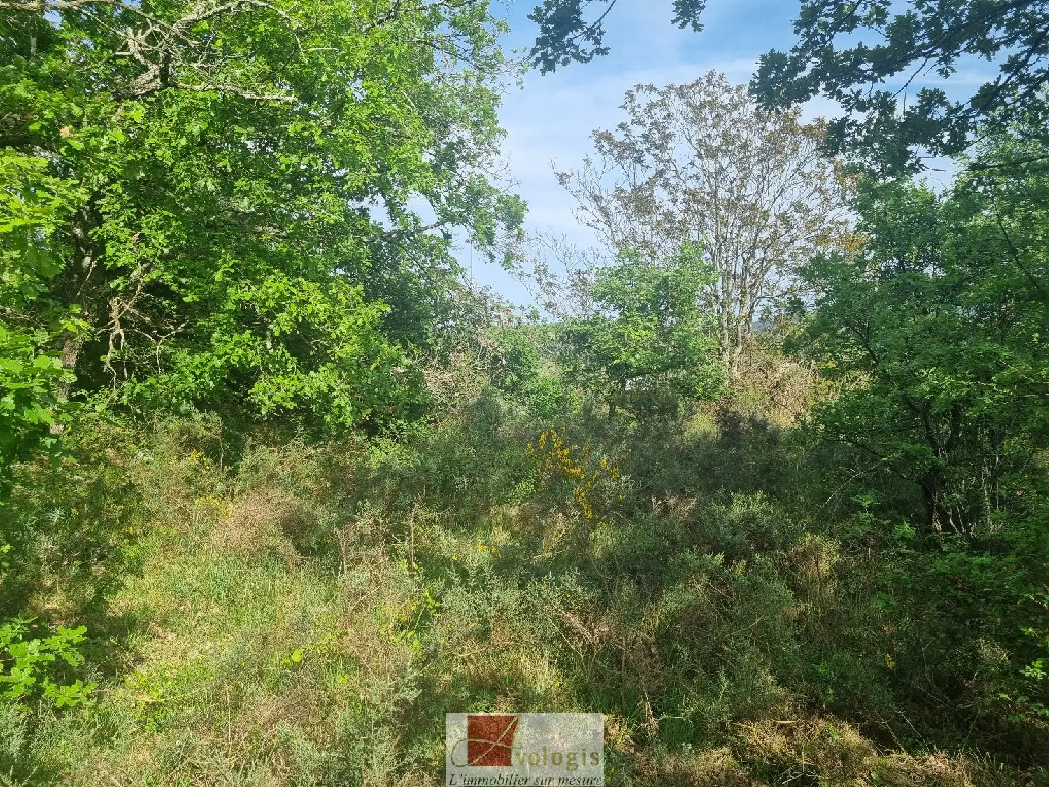  en venta terreno Ganges Hérault 6