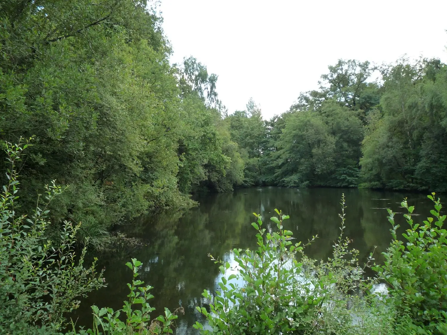  te koop terrein Juillac Corrèze 3