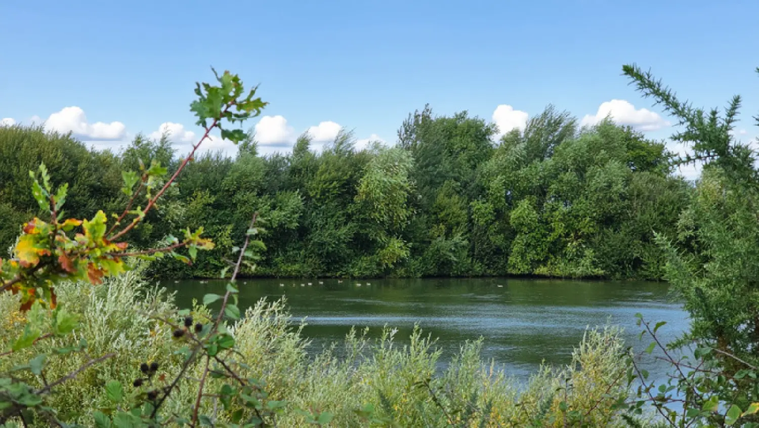 te koop terrein La Bruère-sur-Loir Sarthe 5