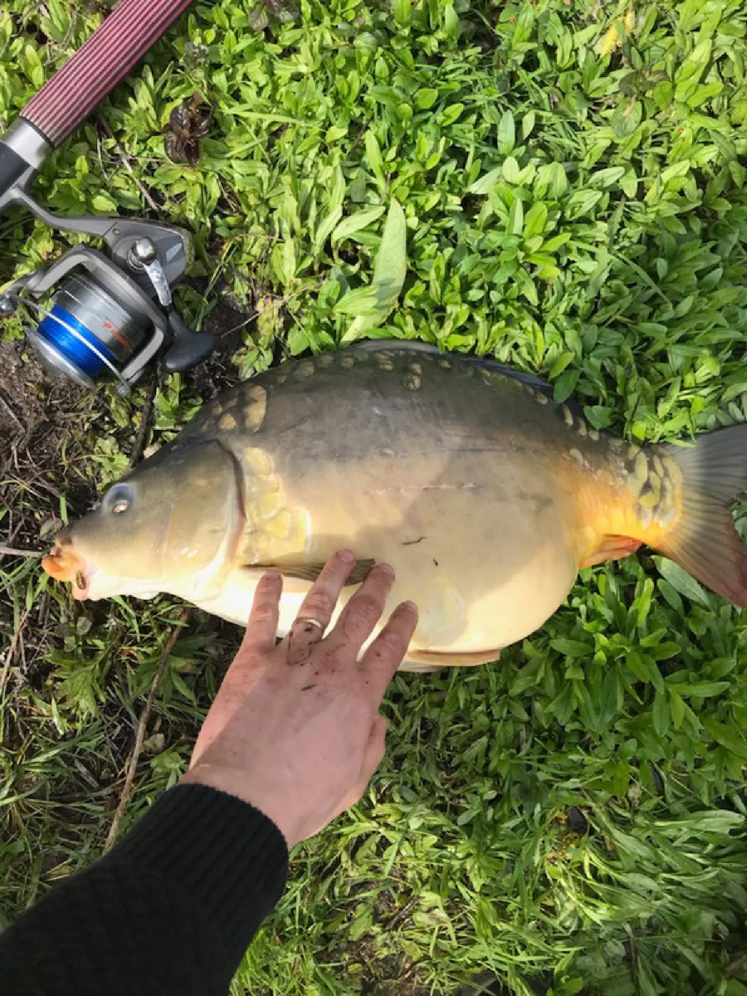  te koop terrein La Bruère-sur-Loir Sarthe 8