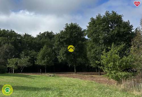 La Guerche-sur-l'Aubois Cher terrein foto