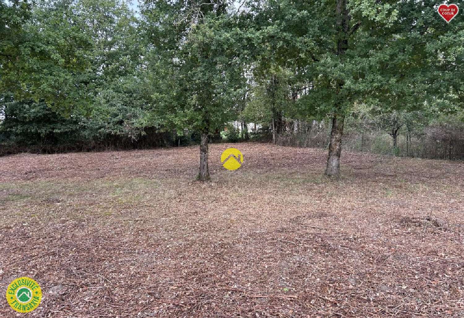  te koop terrein La Guerche-sur-l'Aubois Cher 2
