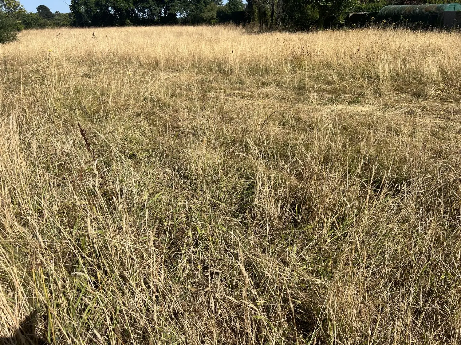  à vendre terrain La Haie-Fouassière Loire-Atlantique 1
