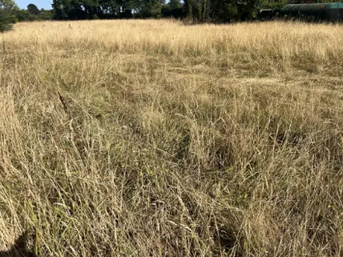 La Haie-Fouassière Loire-Atlantique terrein foto 7129326