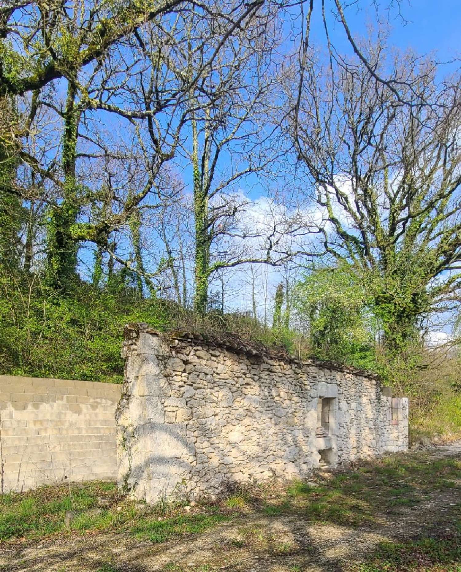  en venta terreno Lacour Tarn-et-Garonne 3