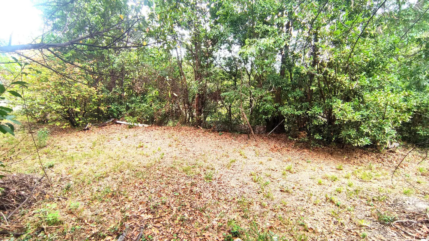 en venta terreno Laroque-des-Albères Pirineo Oriental 2